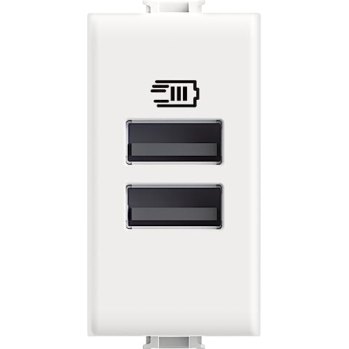 Bticino AM4191AA USB-Ladegerät mit Zwei Eingängen Typ A, zum Einbau in die Matix-Platte zum Aufladen eines elektronischen Geräts bis zu 15 W oder Zwei Geräte gleichzeitig, 1 Sitzer, weiß von Bticino