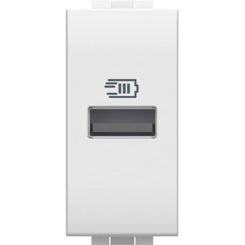 Bticino N4191A USB-Ladegerät mit einem Typ A Eingang, zum Installieren in der Livinglight-Platte, zum Aufladen elektronischer Geräte bis zu 15 W, 1 Modul, weiß von Bticino