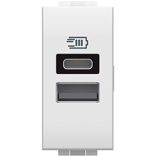 Bticino N4191AC USB-Ladegerät mit Zwei Eingängen Typ A und C, zur Installation in der Livinglight-Platte, zum Aufladen eines elektronischen Geräts bis zu 15 W oder Zwei Geräte gleichzeitig, 1 Modul, von Bticino