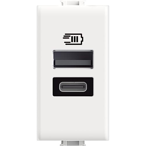 Bticino USB-Ladegerät mit Zwei Eingängen Typ A und C, zum Installieren in der Matix-Platte zum Aufladen eines elektronischen Geräts bis zu 15 W oder Zwei Geräte gleichzeitig, 1-Sitzer, weiß von Bticino