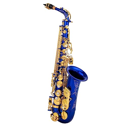 Btuty Eb Alt-Saxophon Messing E Flat Sax 802 Schlüsseltyp Holzblasinstrument mit Reinigungsstab Stoffhandschuhe Gurt Gepolsterte Hülle von Btuty