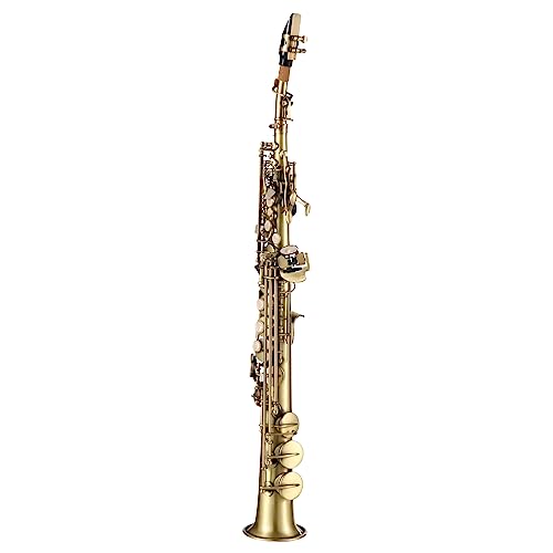 Btuty Sopran-Saxophon Bb Gerade Messing Professional Vernickelt Saxophon Holzblasinstrument Schnitzmuster mit Tragetasche Mundstück Rohrreinigungskit Handschuhe von Btuty