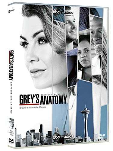 Grey's Anatomy Stg.14 (Box 6 DVD) von Buena Vista