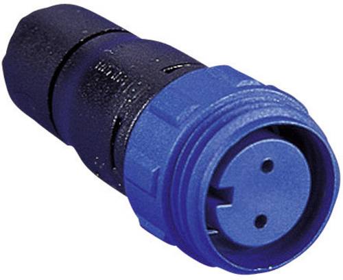 Bulgin PX0411/02S/5560 Rundstecker Stecker, gerade Gesamtpolzahl: 2 Serie (Rundsteckverbinder): PX04 von Bulgin