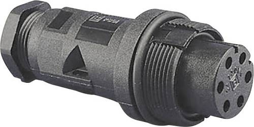 Bulgin PX0801 Rundstecker Stecker, Einbau Serie (Rundsteckverbinder): PX08 1St. von Bulgin