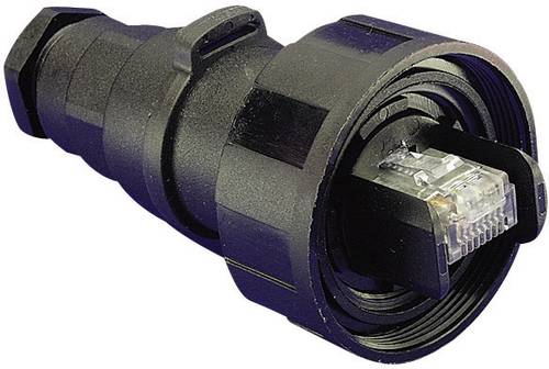 Bulgin PX0834/B Sensor-/Aktor-Steckverbinder, unkonfektioniert Stecker, gerade Polzahl: 8P8C 1St. Bulgin PX0834/B Sensor-/Aktor-Steckverbinder, unkonfektioniert Stecker, gerade Polzahl: 8P8C 1St. von Bulgin