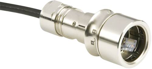 Bulgin PXM6034/A Sensor-/Aktor-Datensteckverbinder Stecker, gerade Polzahl: 8P8C 1St. von Bulgin