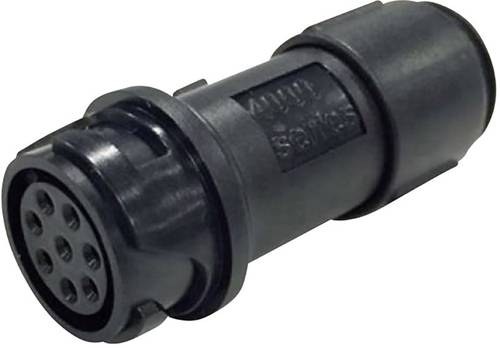 Bulgin PXP4011/12S/5560 Rundsteckverbinder Kupplung, gerade Gesamtpolzahl: 12 Serie (Rundsteckverbin Bulgin PXP4011/12S/5560 Rundsteckverbinder Kupplung, gerade Gesamtpolzahl: 12 Serie (Rundsteckverbin von Bulgin