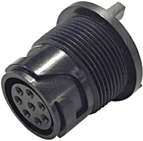 Bulgin PXP4013/08P Rundsteckverbinder Stecker, Einbau Gesamtpolzahl: 8 Serie (Rundsteckverbinder): B von Bulgin