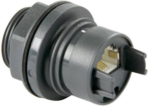 Bulgin PXP6033/TP Sensor-/Aktor-Datensteckverbinder Buchse, Einbau Polzahl: 8P8C 1St. Bulgin PXP6033/TP Sensor-/Aktor-Datensteckverbinder Buchse, Einbau Polzahl: 8P8C 1St. von Bulgin