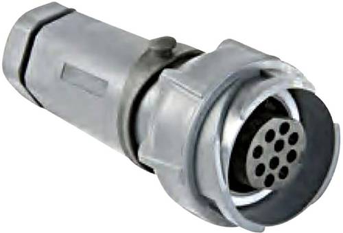 Bulgin PXP7011/06P/ST/0709 Rundsteckverbinder Stecker, gerade Gesamtpolzahl: 6 Serie (Rundsteckverbi Bulgin PXP7011/06P/ST/0709 Rundsteckverbinder Stecker, gerade Gesamtpolzahl: 6 Serie (Rundsteckverbi von Bulgin