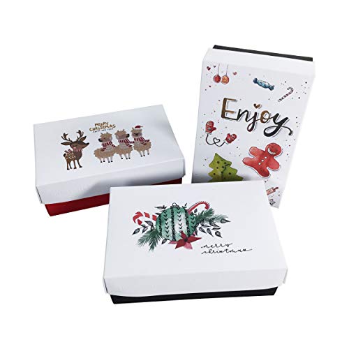 BUNTBOX 2010-26 - Kartonagenset "Weihnachten", Größe M, 3 Stück, zum selber zusammenbauen von Buntbox