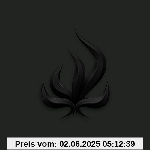 Black Flame von Bury Tomorrow