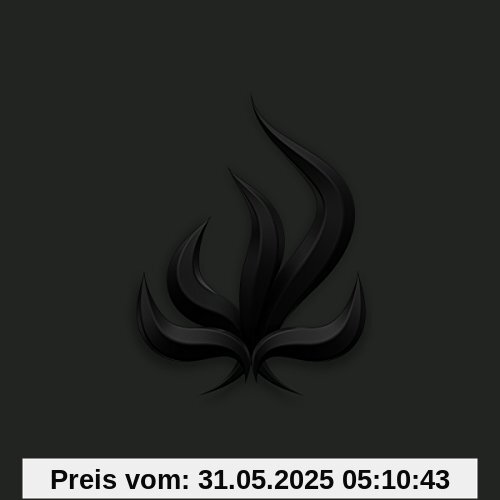 Black Flame von Bury Tomorrow