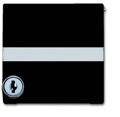 Busch-Jaeger Abdeckung Allwetter 44 (IP44) Anthrazit, Schwarz-Grau 2CKA001710A3794 von Busch-Jaeger
