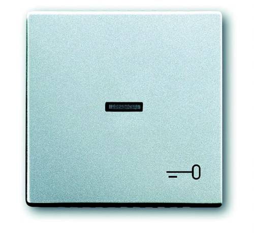 Busch-Jaeger Abdeckung Symbolwippe Schlüssel Future Linear Aluminium, Weißaluminium (RAL 9006 Busch-Jaeger Abdeckung Symbolwippe Schlüssel Future Linear Aluminium, Weißaluminium (RAL 9006 von Busch-Jaeger