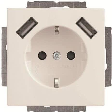 Busch-Jaeger SCHUKO-2x USB Steckdose 20 EUCB2USB-84 (2CKA002011A6273) von Busch-Jaeger