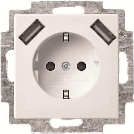 Busch-Jaeger SCHUKO-2x USB Steckdose 20 EUCB2USB-914 (2CKA002011A6266) von Busch-Jaeger