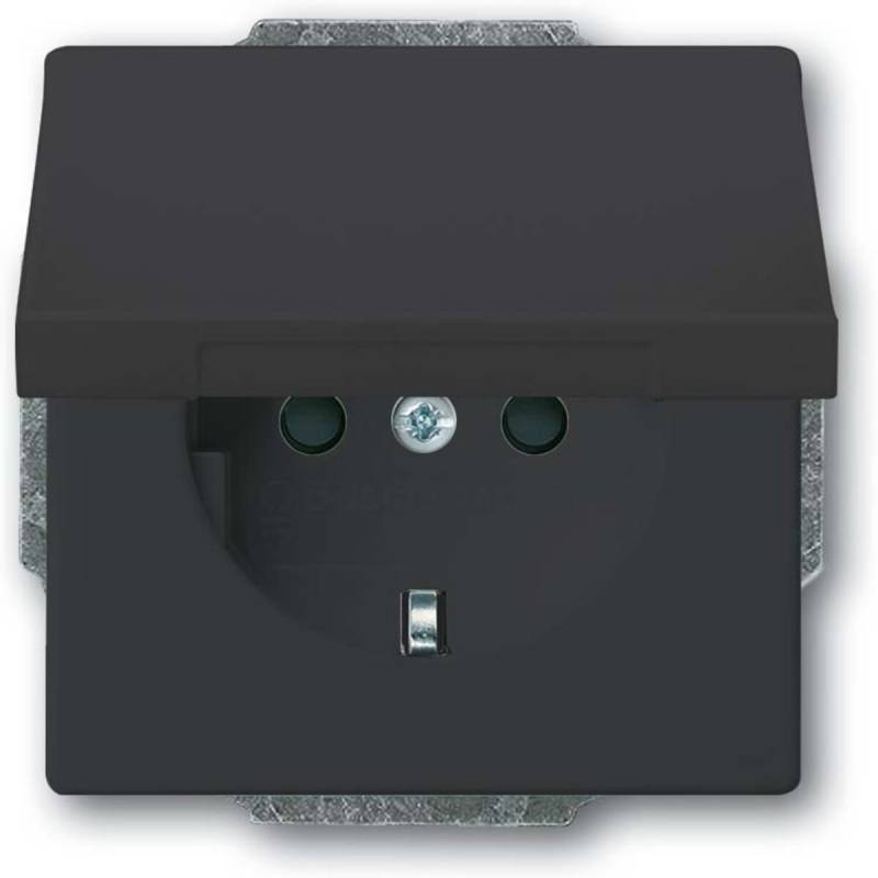 Busch-Jaeger SCHUKO Steckdosen-Einsatz 20 EUKB-81 2CKA002018A1517 von Busch-Jaeger