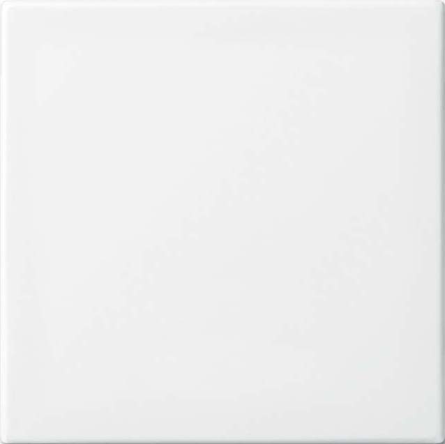 Busch-Jaeger Wippe aws 2546-914 2CKA001434A0662 Busch-Jaeger Wippe aws 2546-914 2CKA001434A0662 von Busch-Jaeger