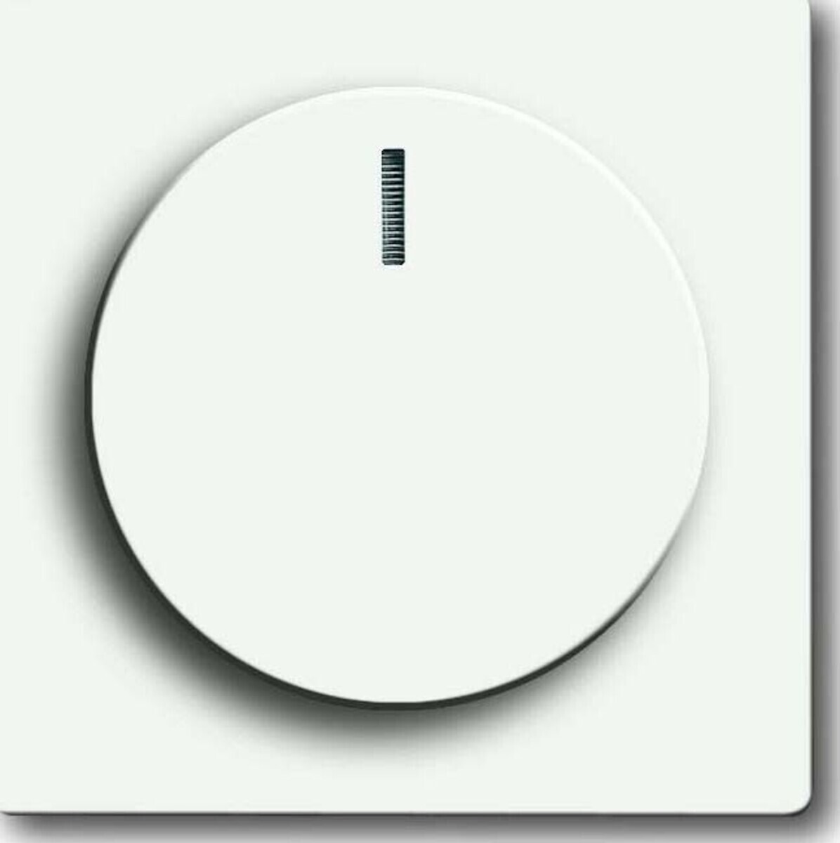 Busch-Jaeger Zentralscheibe stws mt 6540-884-102 2CKA006599A2961 Busch-Jaeger Zentralscheibe stws mt 6540-884-102 2CKA006599A2961 von Busch-Jaeger