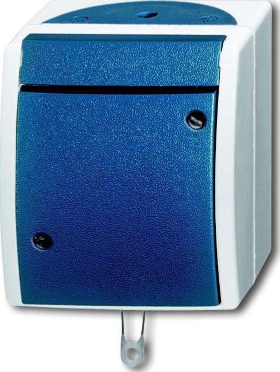 Busch-Jaeger Zugwechselschalter 2610/6 W-53 2CKA001383A0141 von Busch-Jaeger