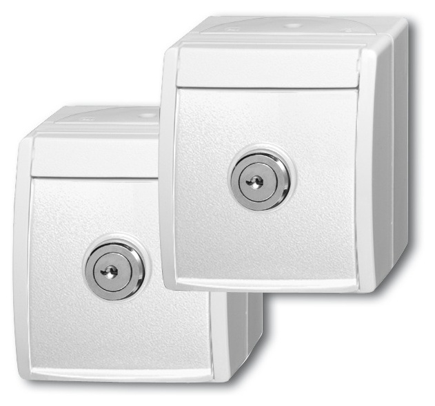 BUSCH 20/20 EWSL-54 2 SCHUKO® Steckdosen von Busch