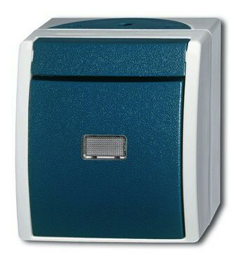 BUSCH 2621 W-53-206 Taster/Wechsler von Busch