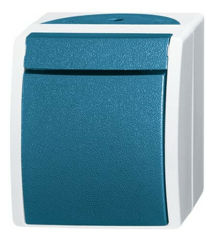 BUSCH 2621 W-53 Taster/Schließer von Busch
