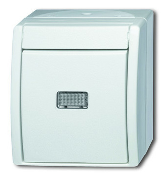 BUSCH 2621 W-54-206 Taster Wechsler von Busch