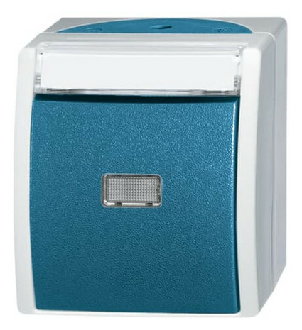 BUSCH 2621 WN-53-201 Taster/Schließer 2pol. von Busch