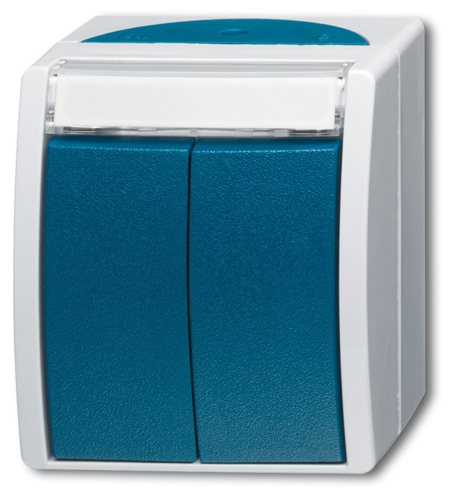 BUSCH 2621 WN-53-205 Doppeltaster 2-Schließer von Busch