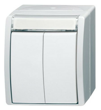 BUSCH 2621 WN-54-205-101 Doppeltaster Namensch von Busch