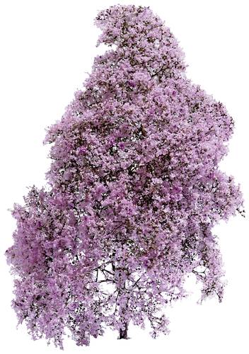Busch 3587 Frühling Lila, Blühend Busch 3587 Frühling Lila, Blühend von Busch