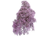Busch 3587 Strauch Frühling lila, blühend Busch 3587 Strauch Frühling lila, blühend von Busch