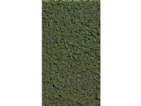 Busch 7348 Blume Tod Frühling Wald Busch 7348 Blume Tod Frühling Wald von Busch