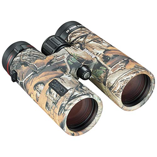 Bushnell Fernglas 10 x 42 Legend L-series Realtree - brilliante Details, lichtstark, robust, gas befüllt, 198105 von Bushnell