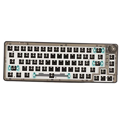 BusoTh DIY Modulare Tastatur, Modulare Mechanische Tastatur mit Hot-Swap-Knopfsteuerung für das Büro (Transparentes Schwarz) von BusoTh