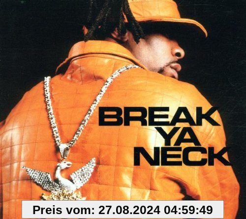 Break Ya Neck von Busta Rhymes