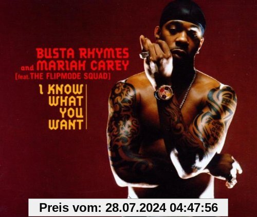 I Know What You Want von Busta Rhymes