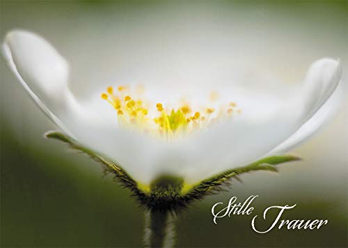 Trauerkarte Stille Trauer (6 St) Psalm Lutherbibel Blume Grußkarte Kuvert von Butzon & Bercker
