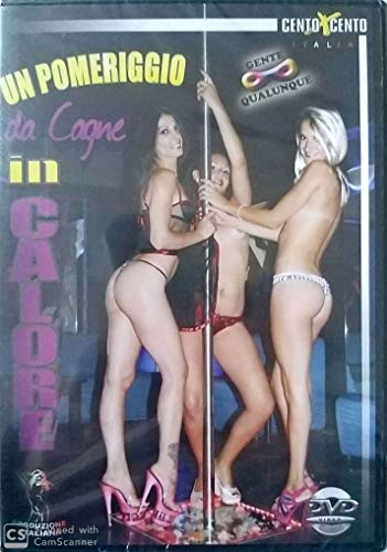Un pomeriggio da cagne in calore CENTO X CENTO cxd1099 [DVD] von By Sex Movie