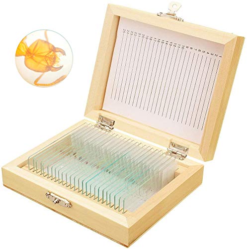 Bysameyee Vorbereitete Objektträger mit Proben für Kinder, 25 PCS-Objektträger-Objektträger Science Kit-Set mit Passendem Holzkoffer für Die Biologische Grundausbildung Bysameyee Vorbereitete Objektträger mit Proben für Kinder, 25 PCS-Objektträger-Objektträger Science Kit-Set mit Passendem Holzkoffer für Die Biologische Grundausbildung von Bysameyee