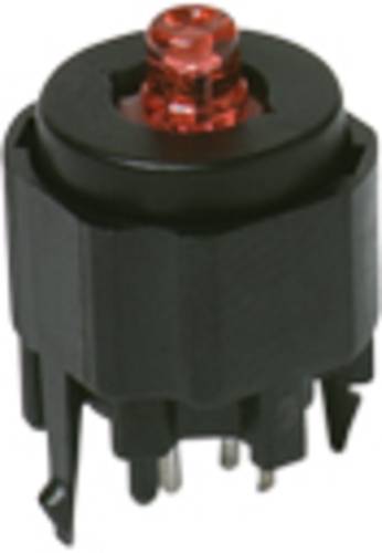 C & K Switches K12PBK23.5N Drucktaster 30 V/DC 100mA IP40 1 St. Bulk von C & K Switches