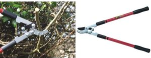 C.K Teleskop Astschere, Länge: 660 - 990 mm präzisionsgeschliffene, gehärtete Klingen aus Karbonstahl (G5014) von C.K Tools