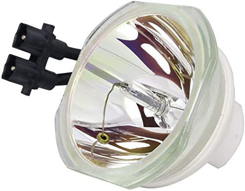 ET-LAD120 Projektorlampe für Panasonic PT-DW830 PT-DW830EK PT-DW830K/PT-DX100 PT-DX100EK PT-DX100K PT-DX100LK /PT-DZ870 PT-DZ870 PT-DZ8870 70EK PT-DZ870LW von CABULB-EU