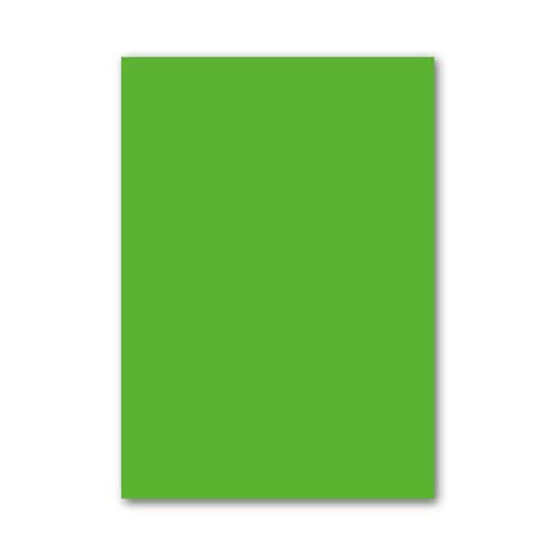 230GSM A4 Kartonpapier - 10 -Farben-Sortiment/Einzelfarben für DIY-Kunsthandwerk,Origami,Scrapbooking|Farbiges Kunstpapier für Schulprojekte,Papierschnitt,Grün,2 Pack (20 Blätter/Pack) von CAKERS
