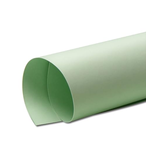 230GSM Green Shades Karton Zum Handwerk - Waldthema Nature -inspiriertes Scrapbooking -Papier, DIY -Hintergrundpapier Für Kunstprojekte, Foto -Hintergrund,Hellgrün,4K(10 Blatt) von CAKERS