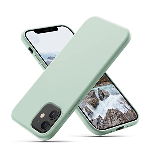 CALOOP Flüssige Silikonhülle entworfen für iPhone 12 Hülle und iPhone 12 Pro Hülle, Ganzkörper-Schutzhülle Gel-Gummi schmal stoßfest, mit Mikrofaser-Futter, 6,1 Zoll (Minzgrün) von CALOOP