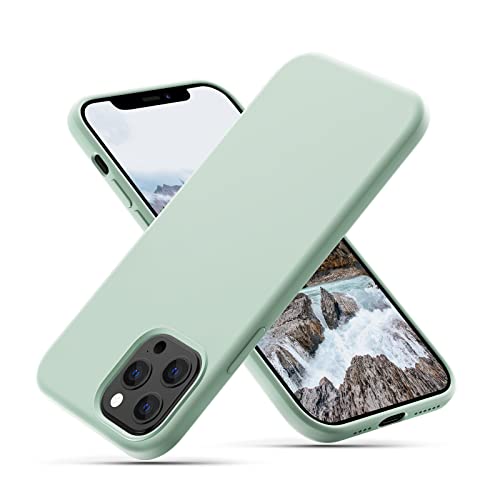CALOOP Liquid Silicone Case Designed for iPhone 12 Pro Max Case, Full Body Protective Covered Gel Rubber Slim Shockproof Cover Case with Microfiber Lining, 6.7 inch (Mint Green) von CALOOP